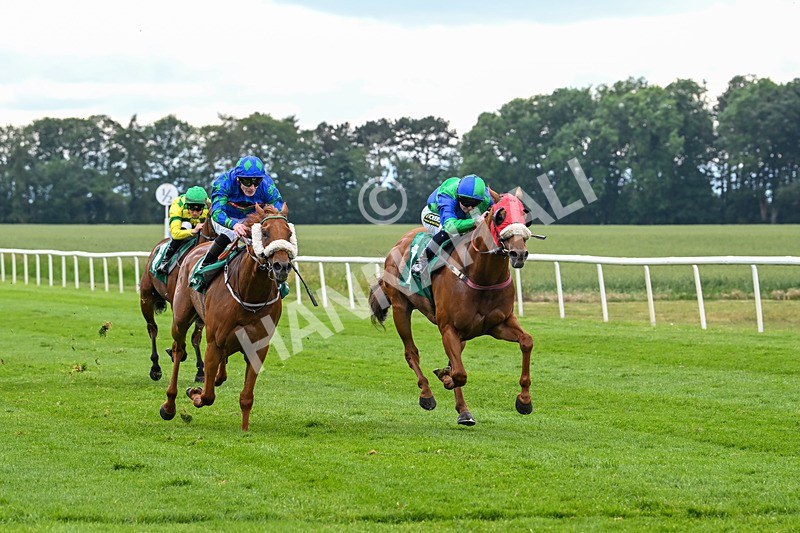 170625-Race 4-Lord Abama-5161 - Race 4