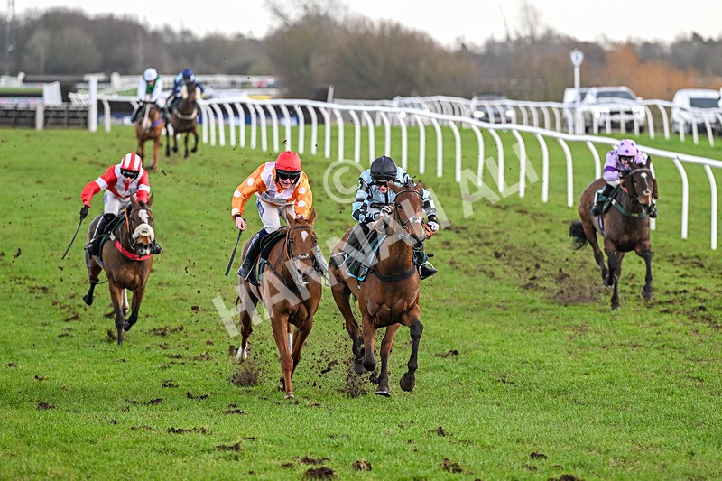 240226-Race 2-Secret Vino-6442 - Race 2