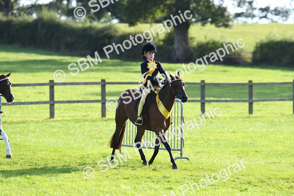SBM_52459 - S22 - 1st Ridden Show & Show Hunter Pony