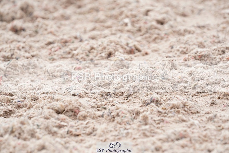 250322-122816-00359 - DR Novice 2 Test