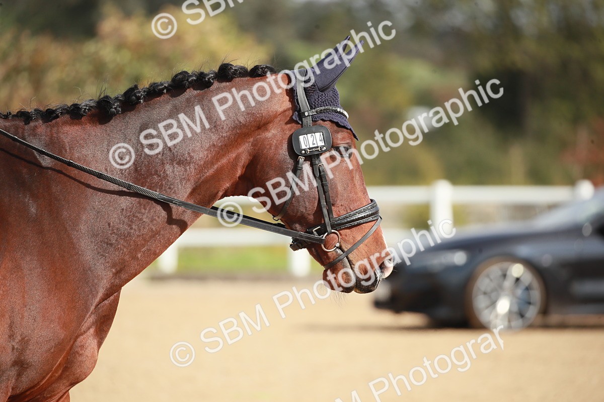 SBM_001873 - Class 4 - Novice 5