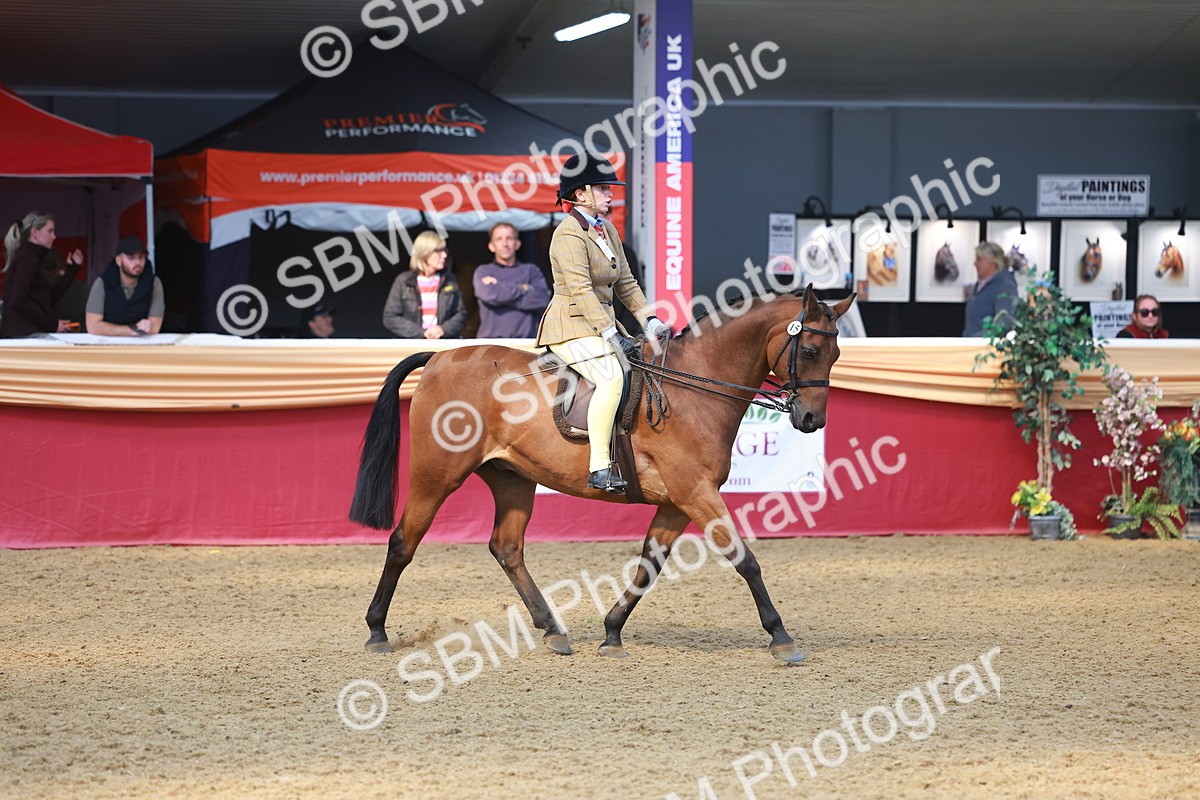 SBM_12584 - Class 103 - HOYS Veteran Qualifier - Ridden Pre Vet