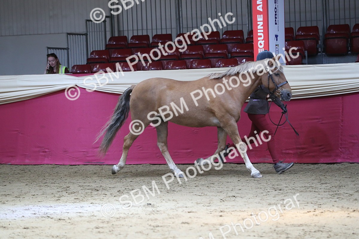 SBM_04372 - Class 7R Regional - IH Diamond