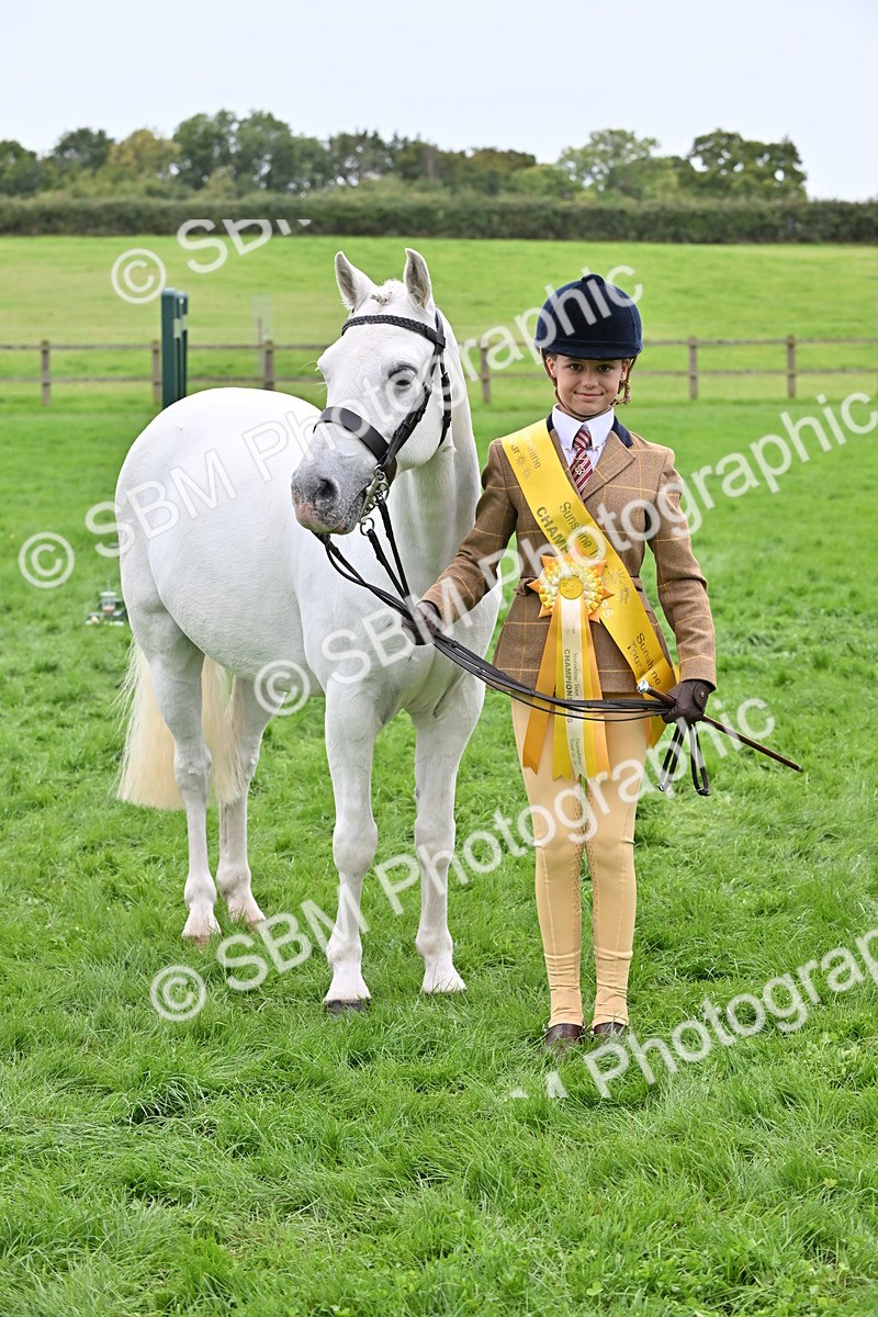 SBM_64953 - S50 - Show Pony & Show Hunter Pony In Hand