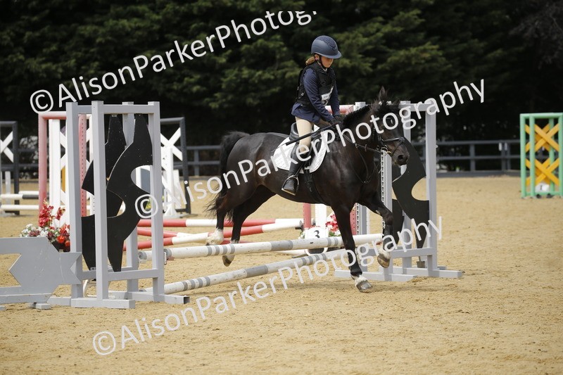 20250622-4671 - 50cm