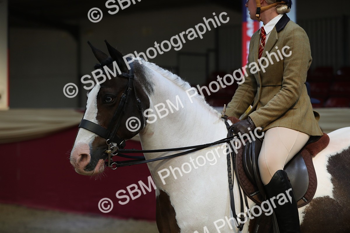 SBM_08378 - Class 11R Regional Ridden Veteran