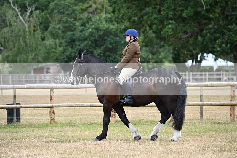 WJ6_3777 - Class 9 Tack & Turnout
