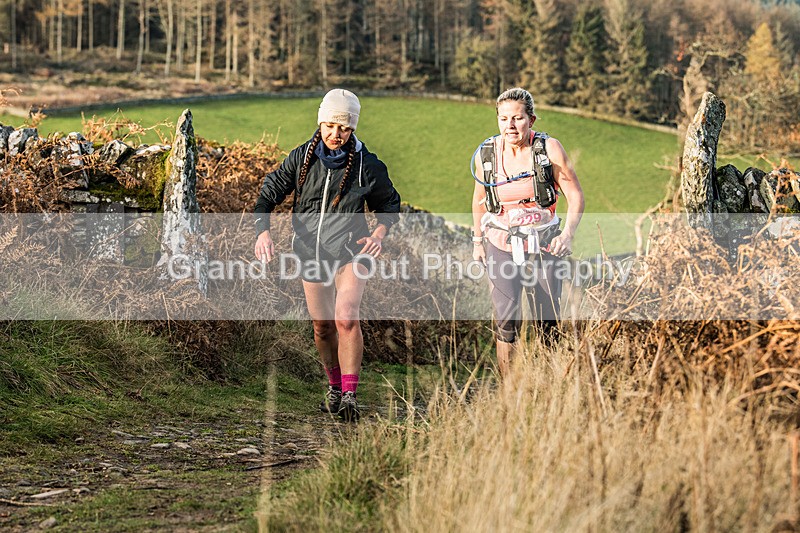 Tweed Valley-435 - High Terrain Events Tweed Valley 50 & 65K Ultra Trail Races Sunday 16th November 2025