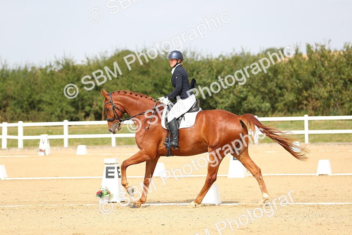 SBM_017290 - Class 13 - Novice 23 - 13.31-14.13