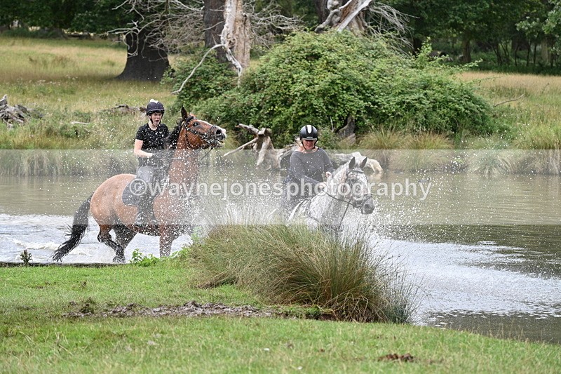 WJ7_2783 - Time at Water 11:37 to 12:13