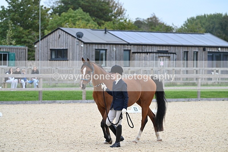 WJ7_1916 - Class 1 & Champs