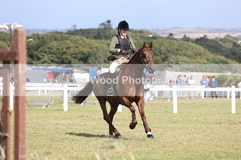 JPP_2550 - Class 20: Working Hunter 70cm