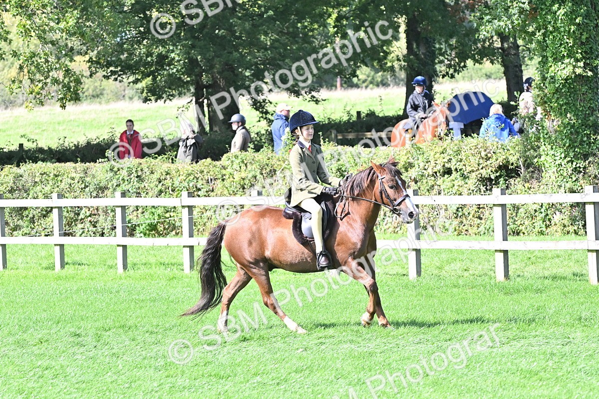 SBM_44557 - S13 - Pony Club Pony