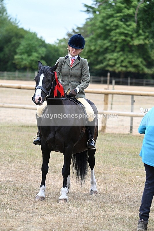 WJ7_0669 - Class 6 Ridden Mountain and Moorland