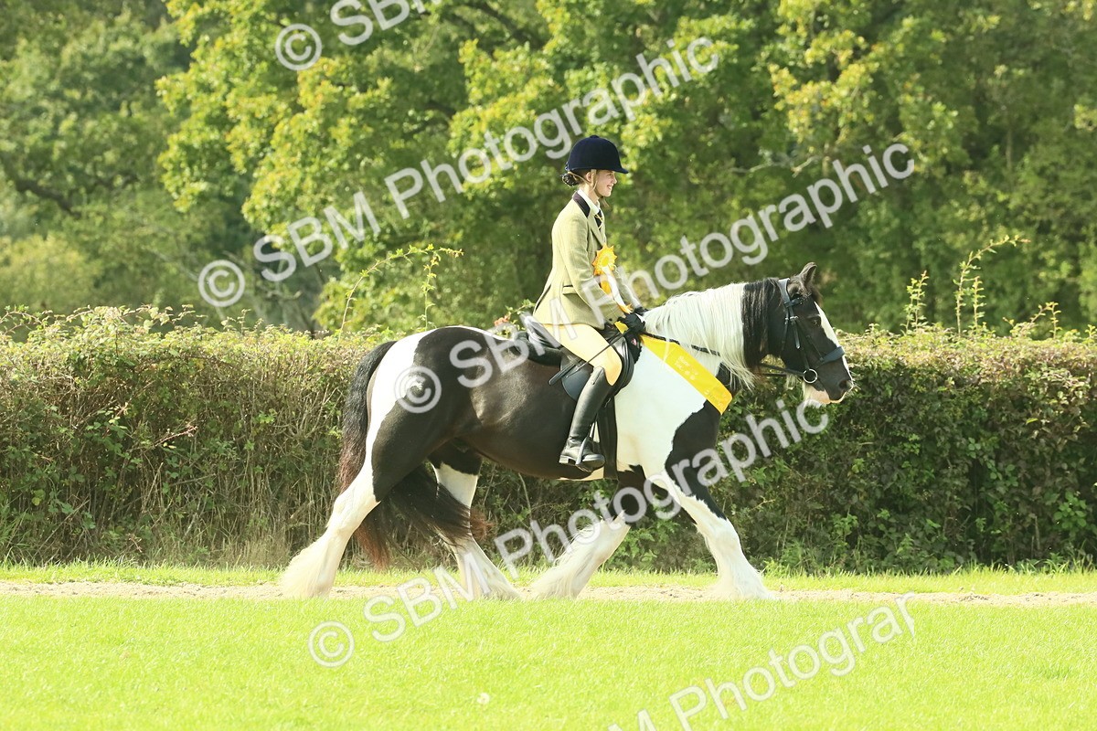 SBM_68998 - S58 - Mini Show Cob Ridden