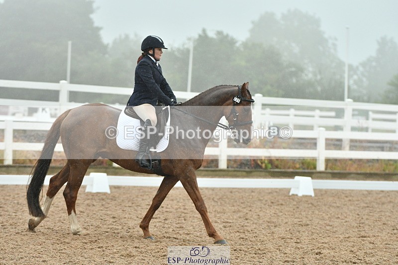 230708A-151017-03006 - Elementary 43