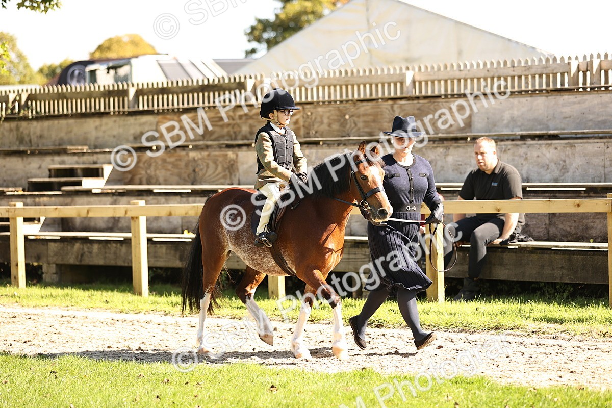 SBM_19216 - S3 - TSR Ridden Pony Showing