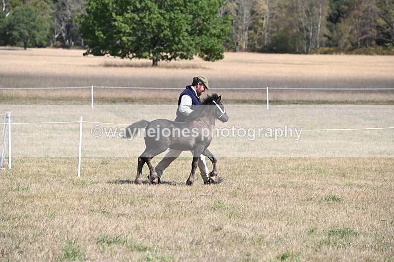 WJ6_5153 - Class 17 Mountain & Moorland