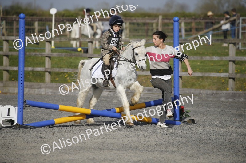20250412-0155 - Show Jumping