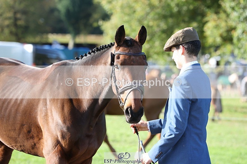 241027-101826-15806 - 504-Harry.Robinson-WHAT.A.WONDER