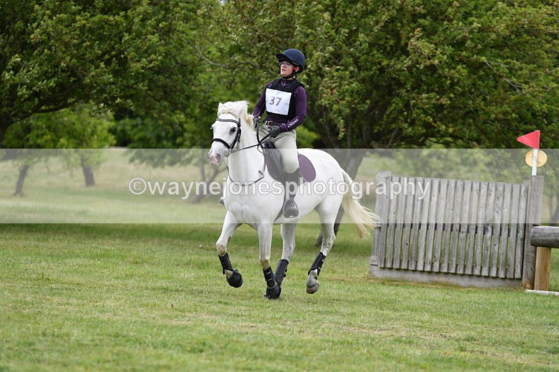 WJ5_3573 - Class 6 80cm