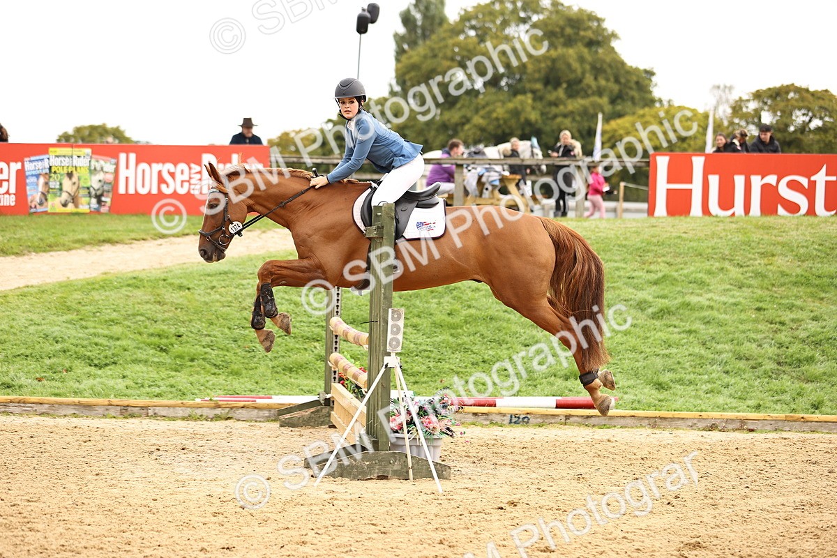 SBM_58528 - J41 - Grand Tour Horse & Pony 95cm