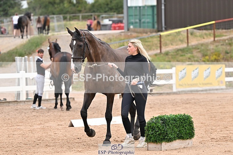 250716-160114-02347 - Trot Up 3.30 to 4.30