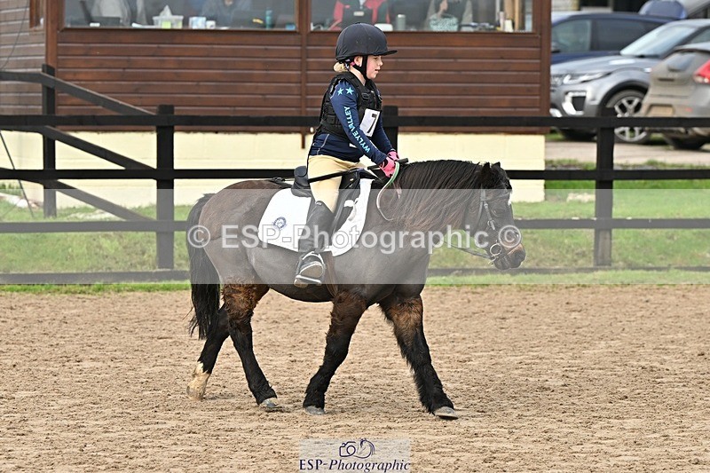 241110-111438-00370 - 50-55cm Arena Eventing