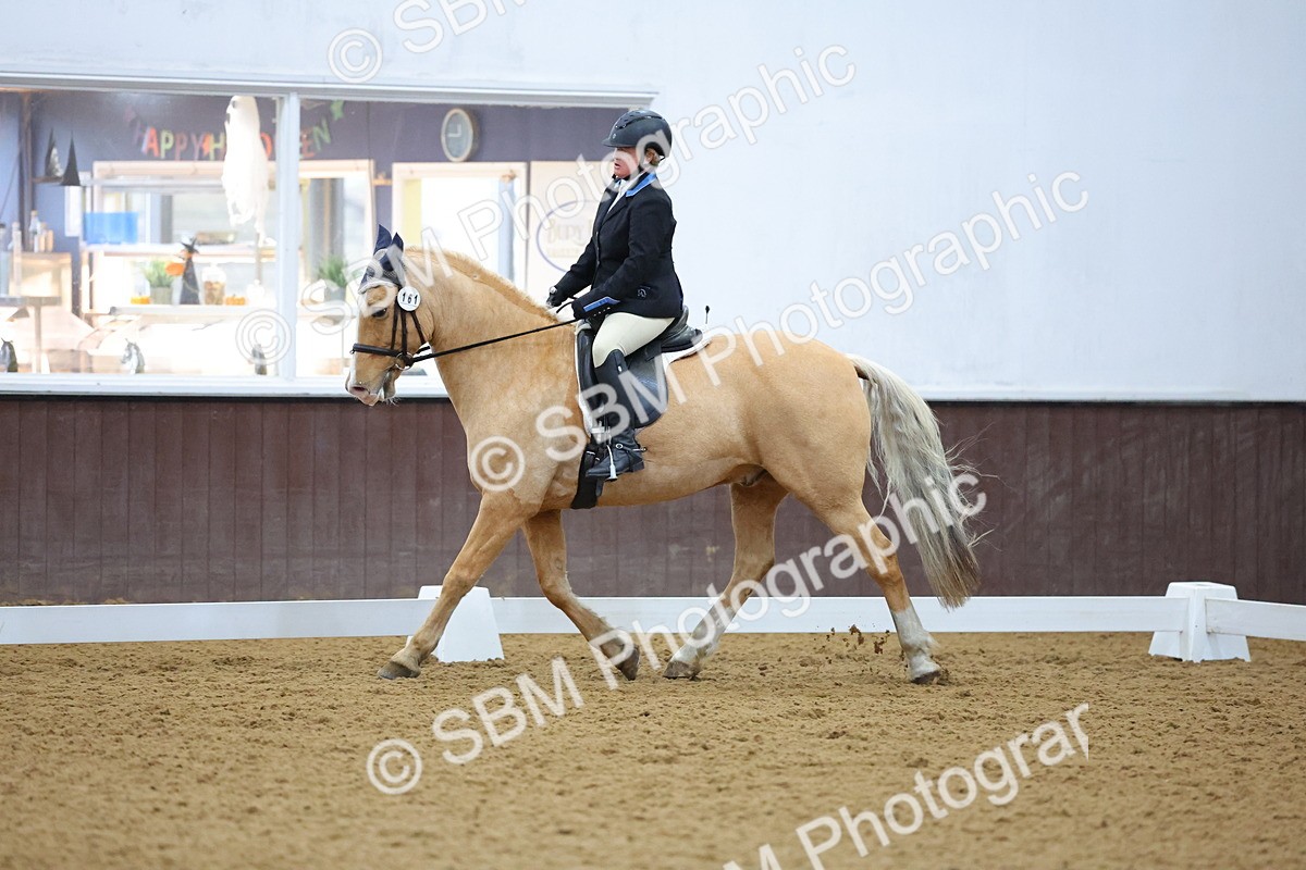 SBM_000880 - Novice