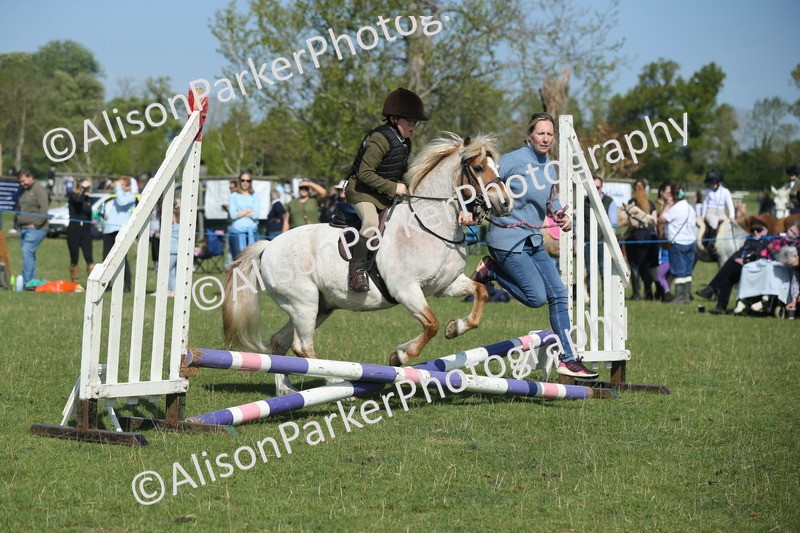 20250427-1096 - Class 1 - Mini Jumping Lead Rein or Assisted