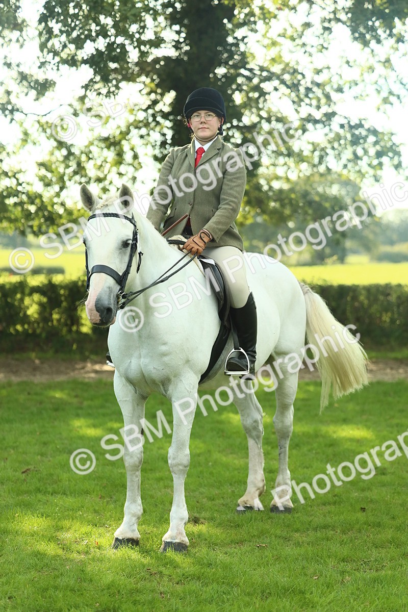 SBM_52179 - S33 - Working Hunter & Working Show Horse
