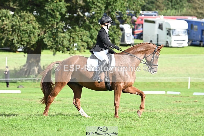 231020-121033-08013 - 484-JESATRAN.FIRECRACKER-Sally.Morton-DR