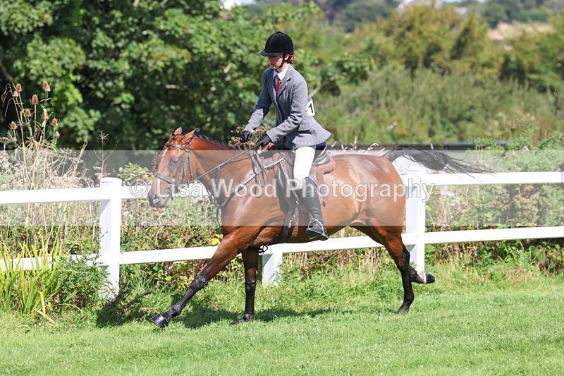 3E7A8426 - Class 4: Novice working Hunter