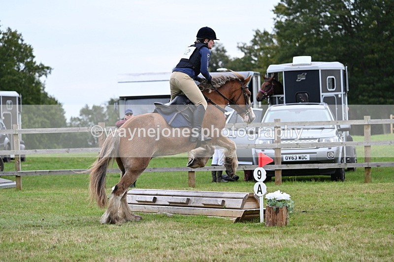 WJ7_7736 - 40cm Time 10:49 to 11:18