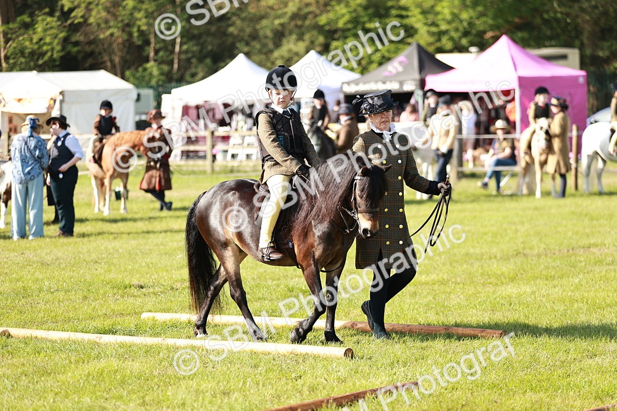 SBM_11206 - Class 106-107 - BSPS LIHS Working Sports Pony