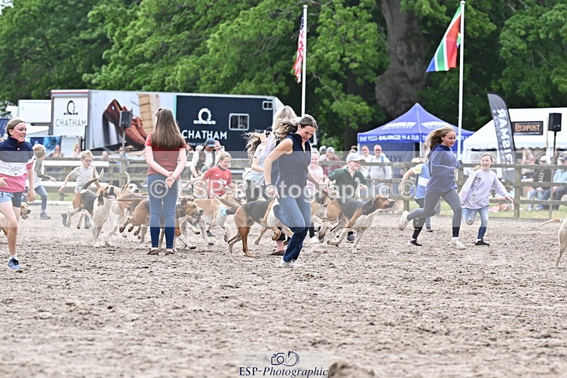 250524A-152838-12776 - East Devon Hounds