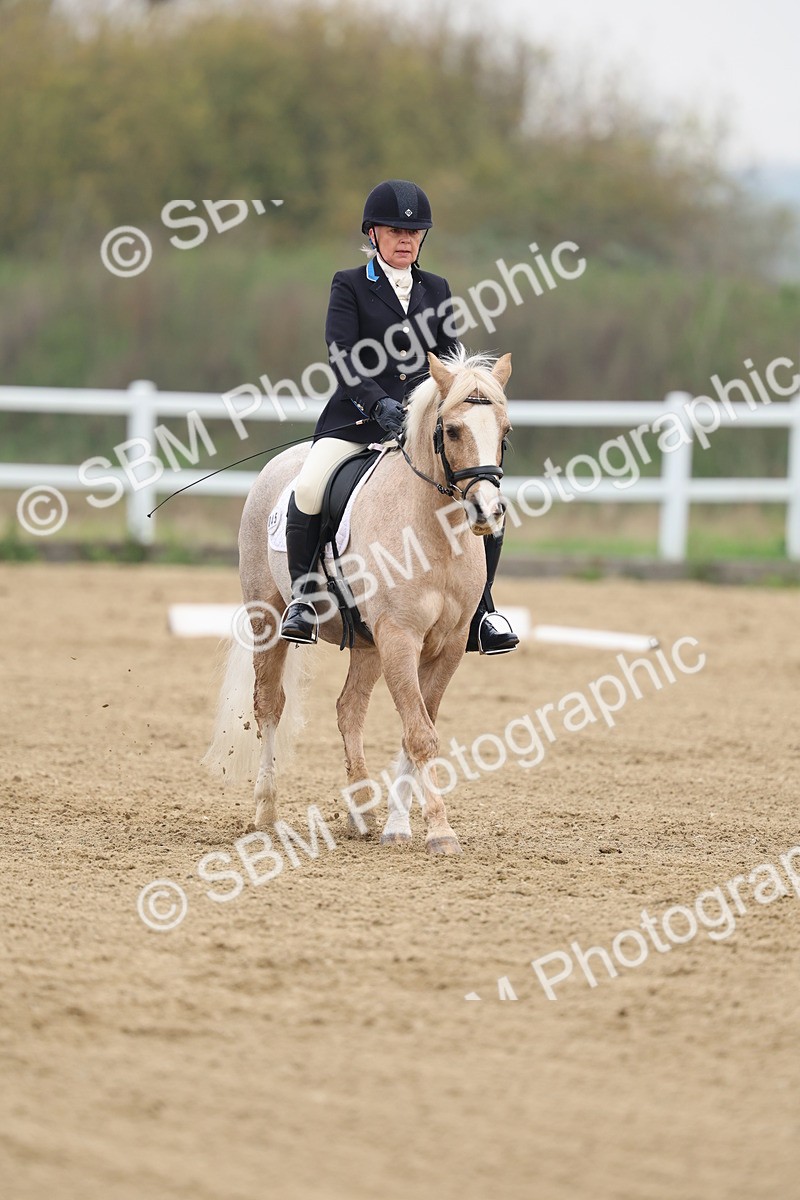 SBM_006313