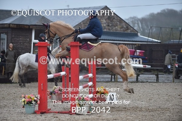 BPP_2042 - CLASS 19 Pony Discovery / 90cm Open
