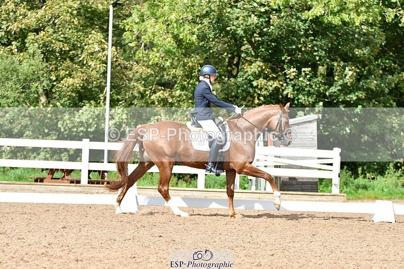 230912A-152303-01558 - Cls 13 Adv Medium 91