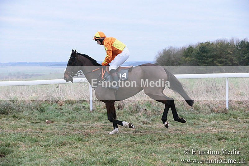PtP 060119 522 - Larkhill Racing Club - Point-to-Point- 06/01/2019