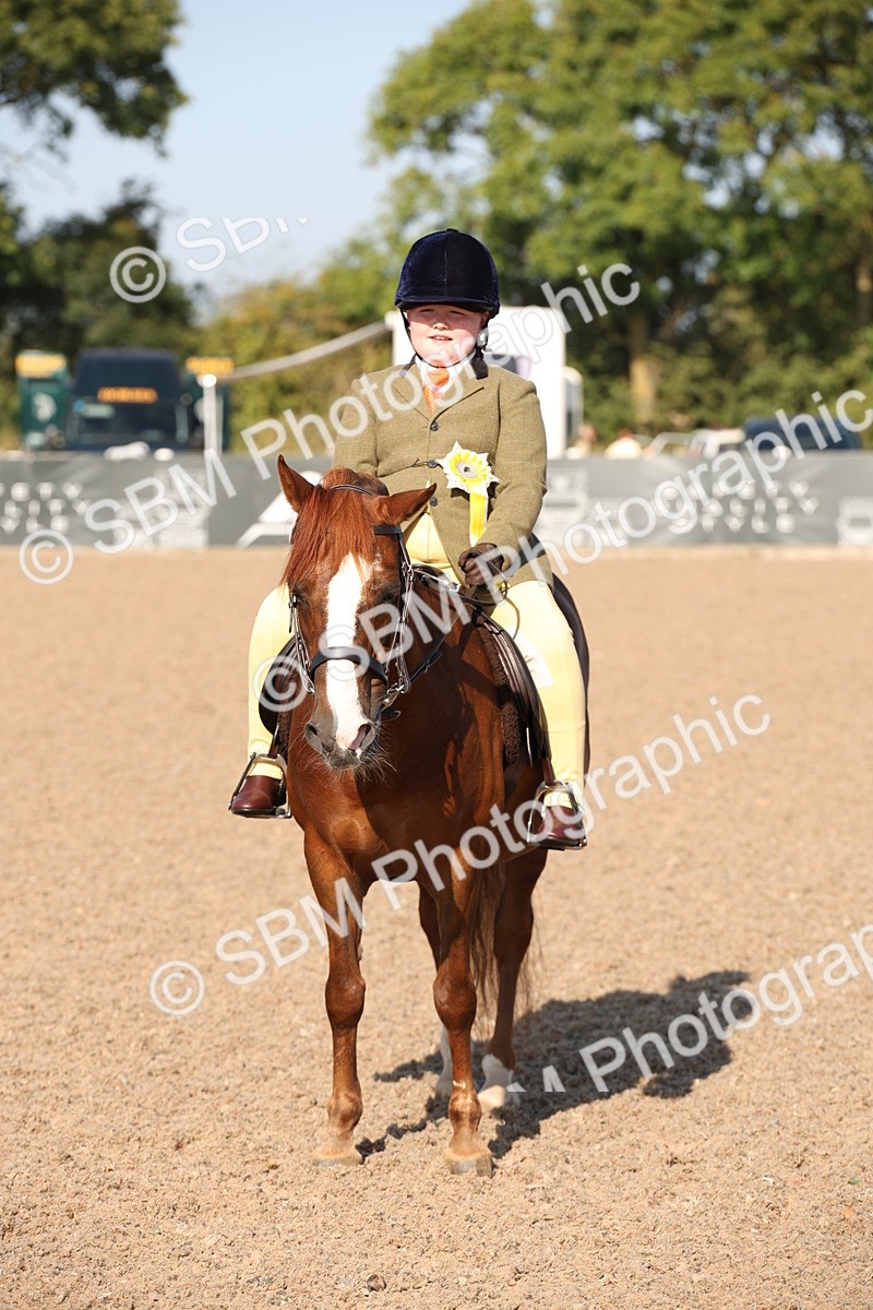 SBM_00778 - Class 14 Ridden M&M Wildcard