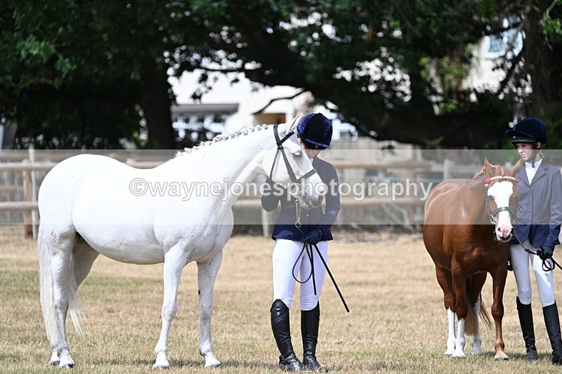 WJ7_1646 - Class 4 Prettiest Mare up to 14.2hh in hand