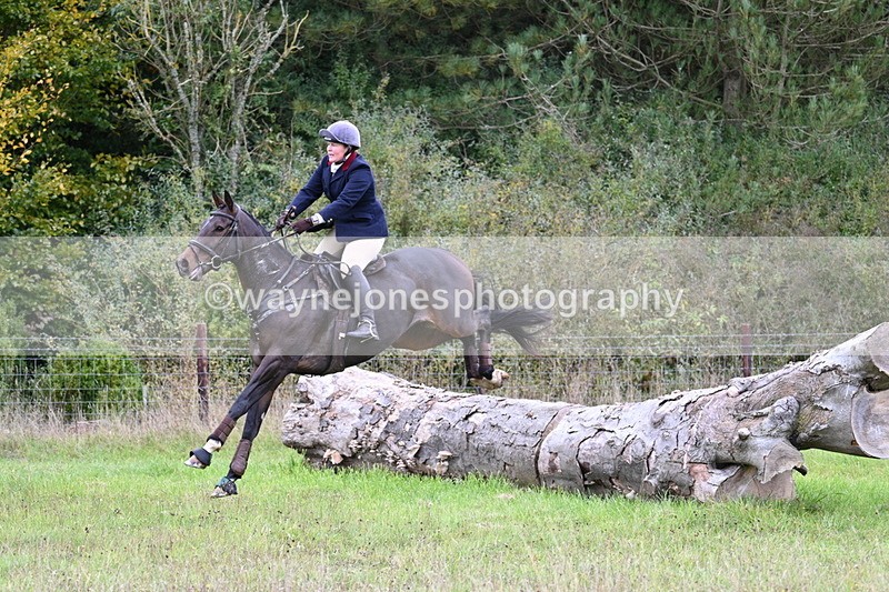 WJ7_3747 - Camera 1 Line 1