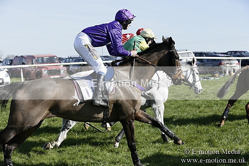 PtP 260317 254 - Mendip Farmers Point-to-Point Ston Easton 26/03/17