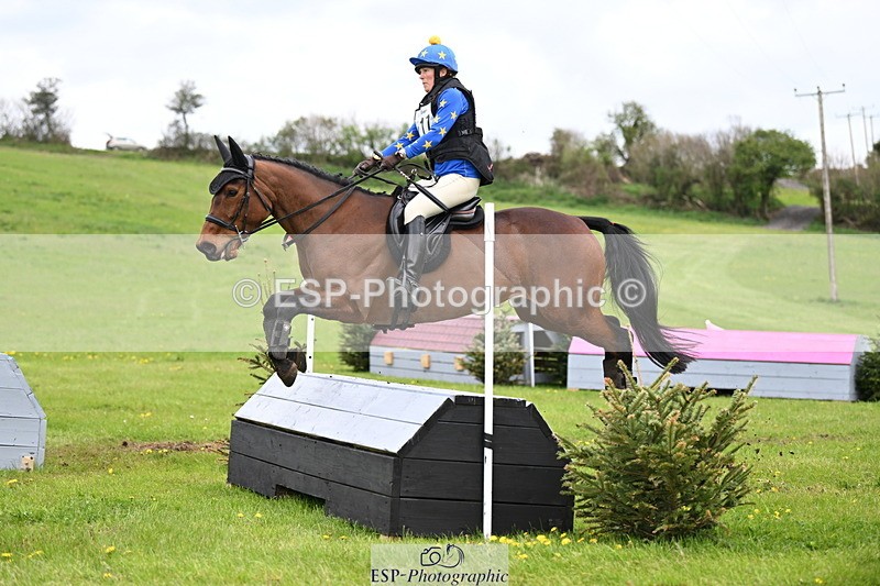 250419-151420-12658 - 717-Helen.Buckland-LIVERMORES.MIDNIGHT.DIAMOND