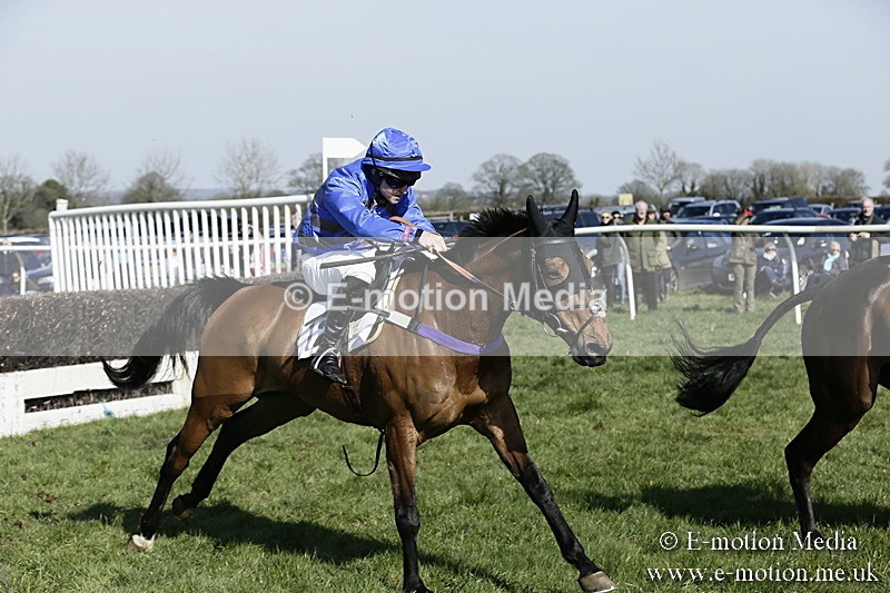 PtP 260317 221 - Mendip Farmers Point-to-Point Ston Easton 26/03/17
