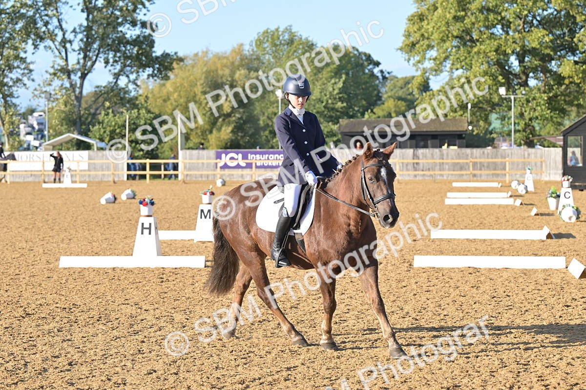 SBM_13081 - D3 - Small Tour Championship Intro 3