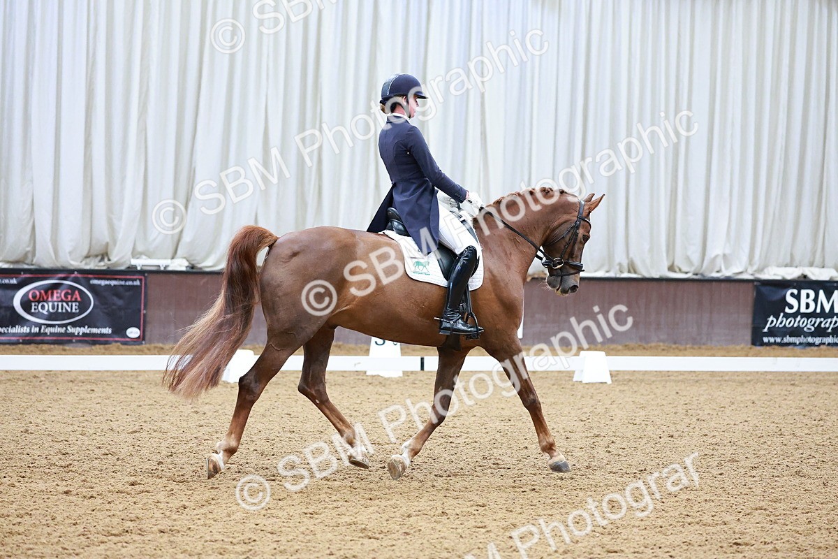 SBM_001115 - Class 12-19-16 - Lusitania-FEI INT I - PYO ADV 1