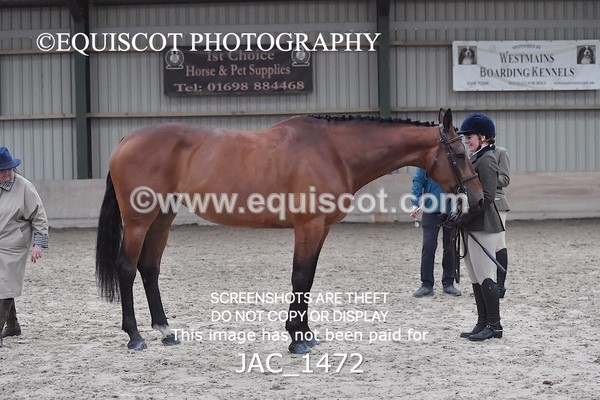 JAC_1472 - CLASS 9 BHS Scotland Riding Club Working Hunter Qualifier (1.00m)