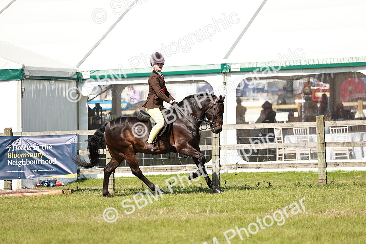 SBM_18527 - Class 112-113 - BSPS LIHS Working Sports Pony
